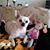 Barb Collins Johnston's profile image