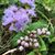 Wendi Amos's profile image