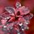 Mary Jo Stauner's profile image