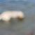 Hank R Hill's profile image