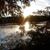 Sue Glover Knoll's profile image