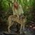 Alison Potts's profile image