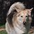 Robin Moonie's profile image