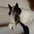 Uschi Schmidt's profile image