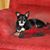 Pamela Edwards's profile image
