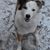 Darcey Zwicky's profile image