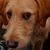 Mike Smathers's profile image