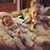 Nicky Stein Sosnowski's profile image