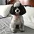 Susan Davis's profile image