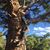 Andrew Wyatt Danforth's profile image