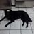 Linda Prestien's profile image