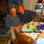 Carol Roeben's profile image