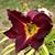 Michelle Wittner's profile image