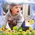 Melody Disharoon Bankert's profile image