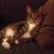 Cecilia Beatriz's profile image