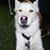 Val Boucha's profile image