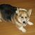 Dawn Wilkins's profile image
