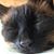 Nicole Davis Meade's profile image