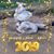 Susan Haines Hylland's profile image