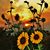 Delores Talbott's profile image
