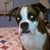 Michele Goines's profile image