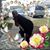 Taneka Kennedy's profile image