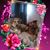Sandra Hoff's profile image