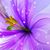 Michelle Robbins's profile image