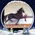 Claudia Gregory-Rayner's profile image