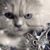Stephanie Grouette's profile image