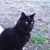 Shannon Wohlers's profile image