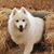 Kathy Galus's profile image