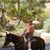Paul Dempsey's profile image