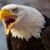 Cecilio Rivera's profile image