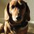 Barclay Grayson's profile image