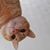 Bonnie Starck's profile image