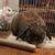 Kimberly Villareal's profile image
