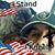 Dave Gutierrez's profile image