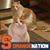 Nancy Denucci's profile image