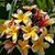 Melody Stempel's profile image