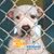 Valeri Duncan-Derbes's profile image