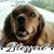 Angel Bundy's profile image