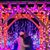 Laura Lougheed's profile image