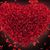 Lorraine Ruzzo's profile image