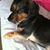 Lolee Silguero's profile image