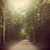 Susan Phillips's profile image