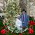 Linda Bellamy Harris's profile image
