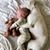Juliann Brumbaugh's profile image