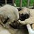 Lee Ann Lewin's profile image