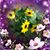Debbie Garmon's profile image